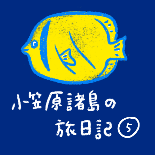 [船旅日記] 小笠原諸島！その５   自然の宝庫だ編