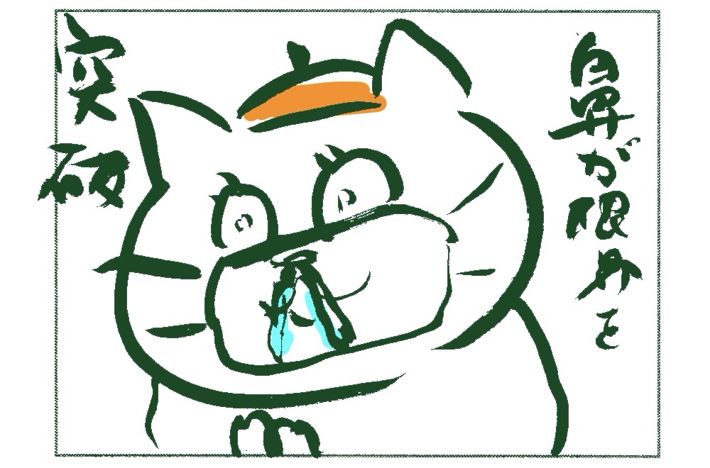 【4コマ】鼻がナンマイダ